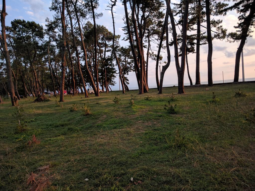 Kobuleti Pines Resort Екстер'єр фото